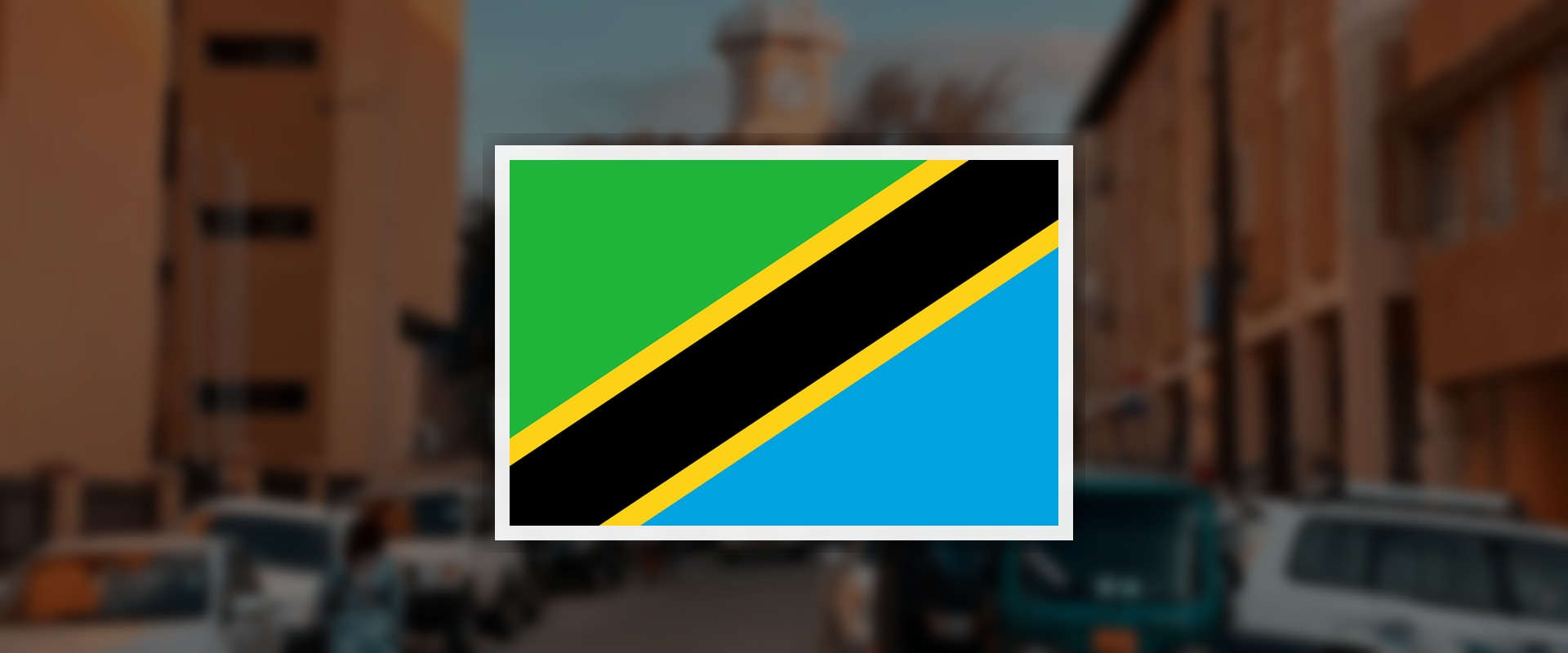 Tanzania flag